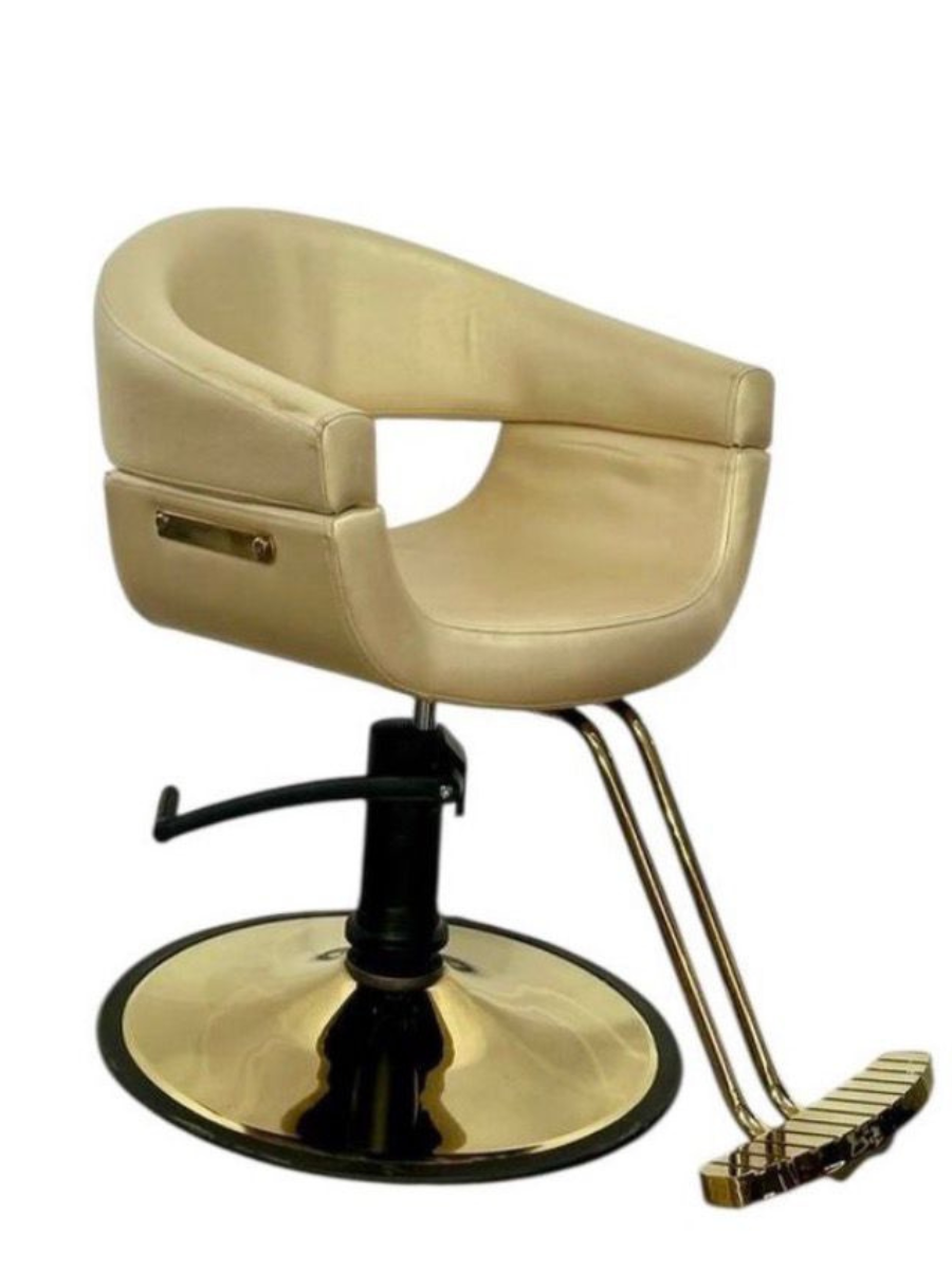 Gold Styling Salon Chair